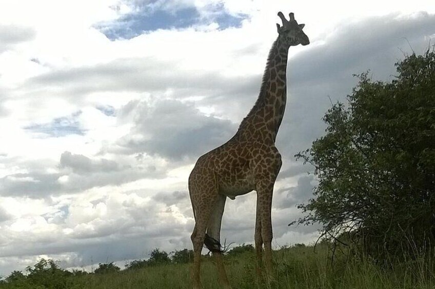 Hell's Gate National Park Private Bike Tour from Nairobi