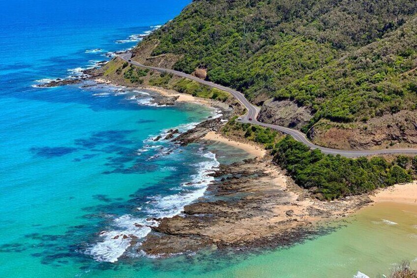 Ocean Road Signature Day Tour from Melbourne