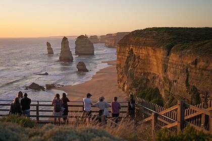 Melbourne: Great Ocean Road Day Tour Including Morning Tea