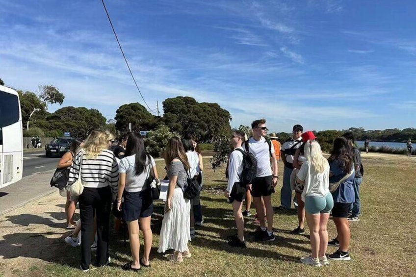 Melbourne: Great Ocean Road Day Tour Including Morning Tea