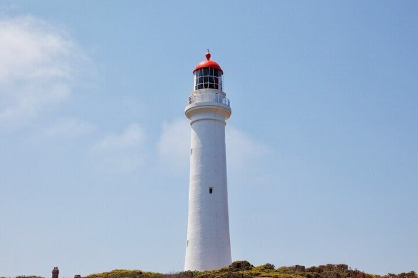 Ocean Road Signature Day Tour from Melbourne