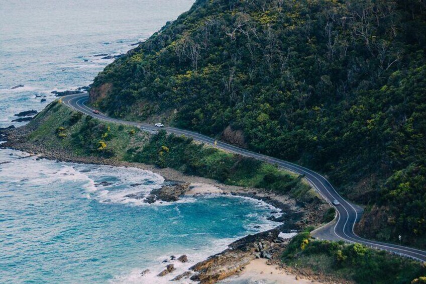 Ocean Road Signature Day Tour from Melbourne