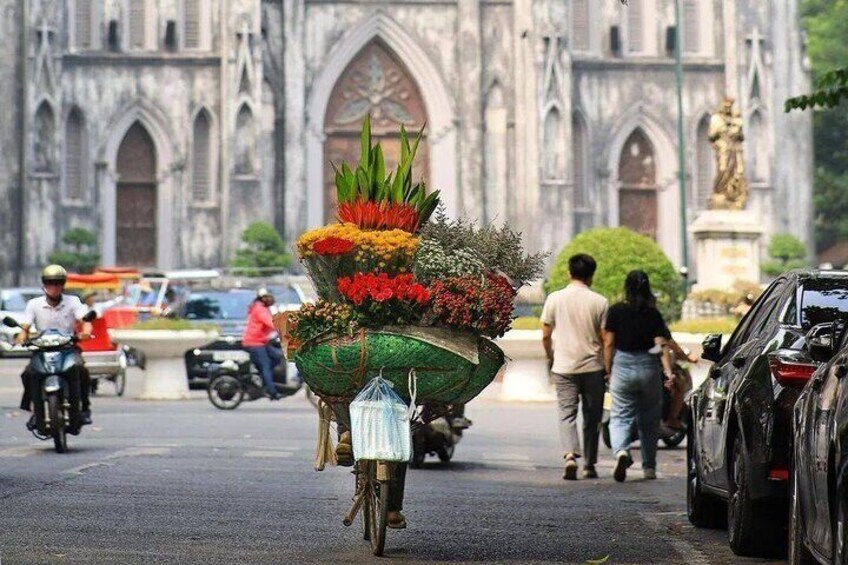 Best of Northern Vietnam: 5-Day Tour to Ninh Binh & Ha Long Bay