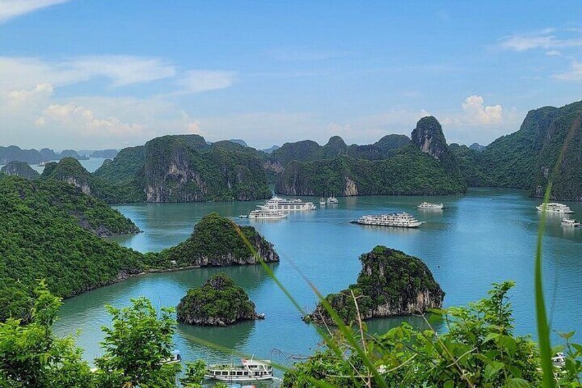 Best of Northern Vietnam: 5-Day Tour to Ninh Binh & Ha Long Bay