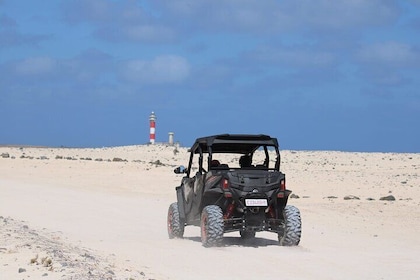 2-hour 4-seater Buggy experience in Fuerteventura