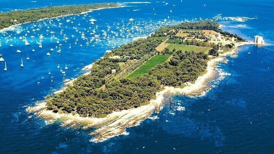 St Raphael Private Boat Tour Discovering an Iconic French Island