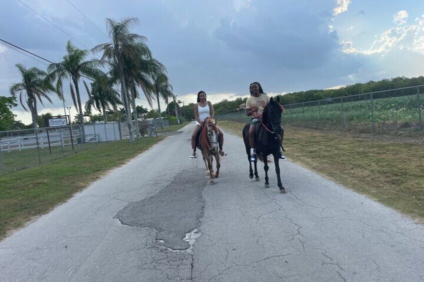 Horseback Experience in Miami 