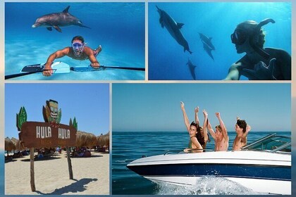 FullDay Private Speedboat Dolphin House&Hula Hula Island-Hurghada