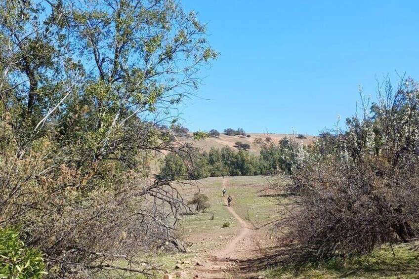 Mountainbike Enduro.