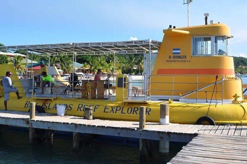 Roatan Glass Bottom Boat with Wildlife and Chocolate/Rum Tasting