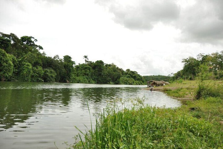 Rivers, Jungle with Buggies Adventure in Bayahibe