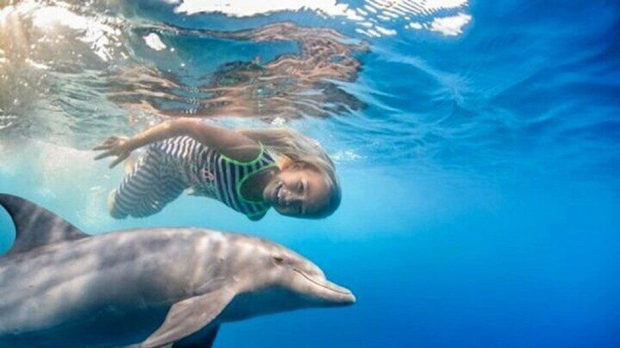 Full Day Dolphin House Boat Trip, Water Sports & Lunch-Hurghada