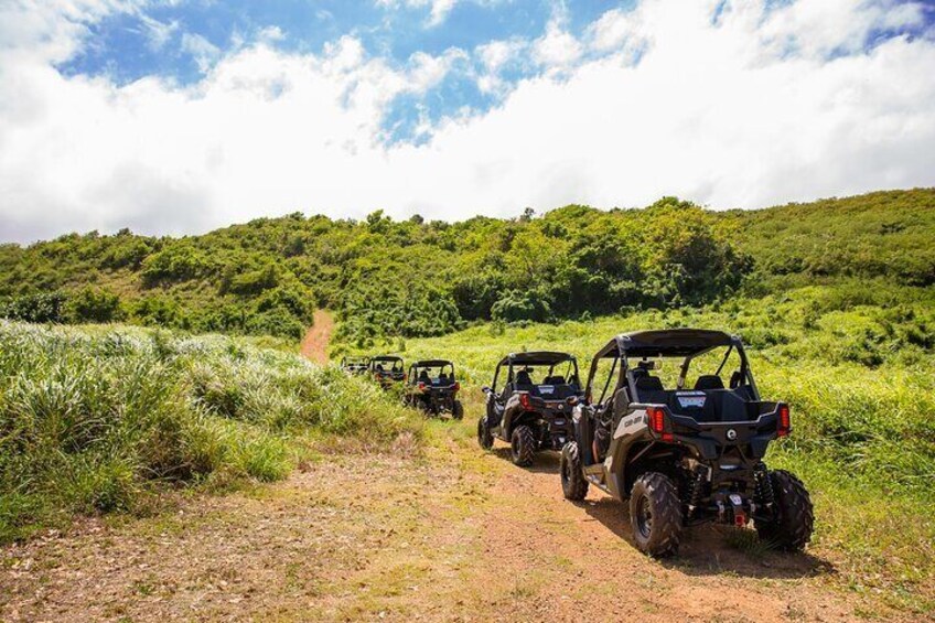 Dos Mares and Rainforest UTV Adventure Tour in Fajardo