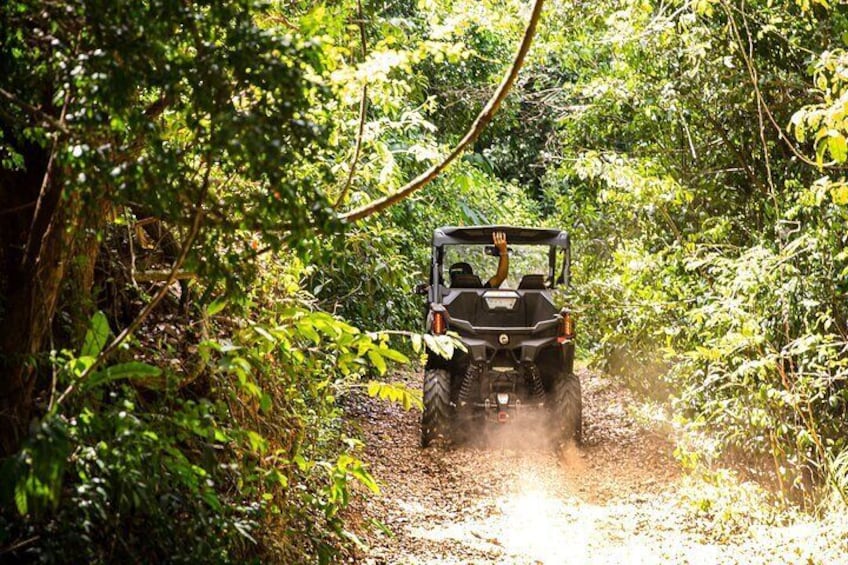 Dos Mares and Rainforest UTV Adventure Tour in Fajardo