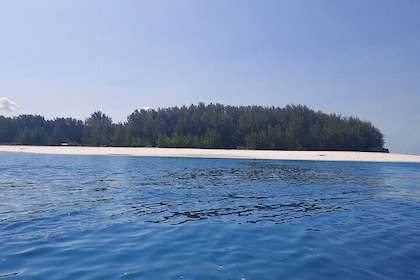 Mnemba Island Snorkeling and Dolphin tour
