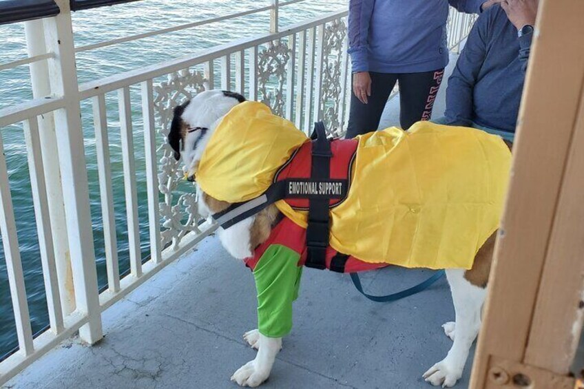 Howl O Ween Doggy Costume Party Cruise