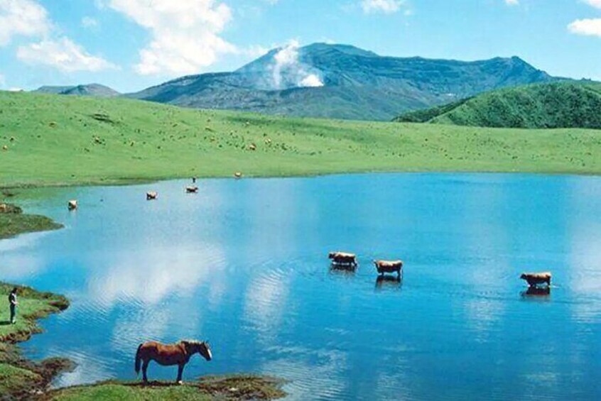 Kusasenri is a vast grassland with a pond, grazing cattle, and seasonal views.