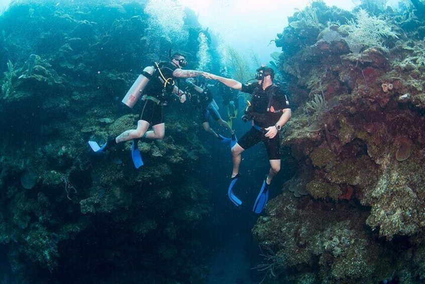 Discover Ocean's Wonders Open Water PADI Course - Sharm El Sheikh