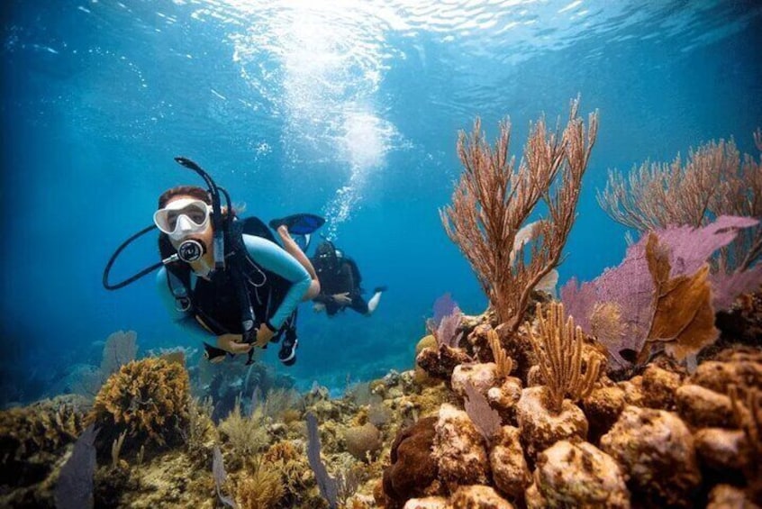 Discover Ocean's Wonders Open Water PADI Course - Sharm El Sheikh