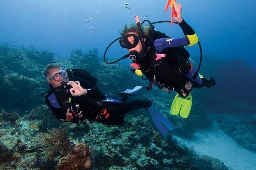 Discover Ocean's Wonders Open Water PADI Course - Sharm El Sheikh