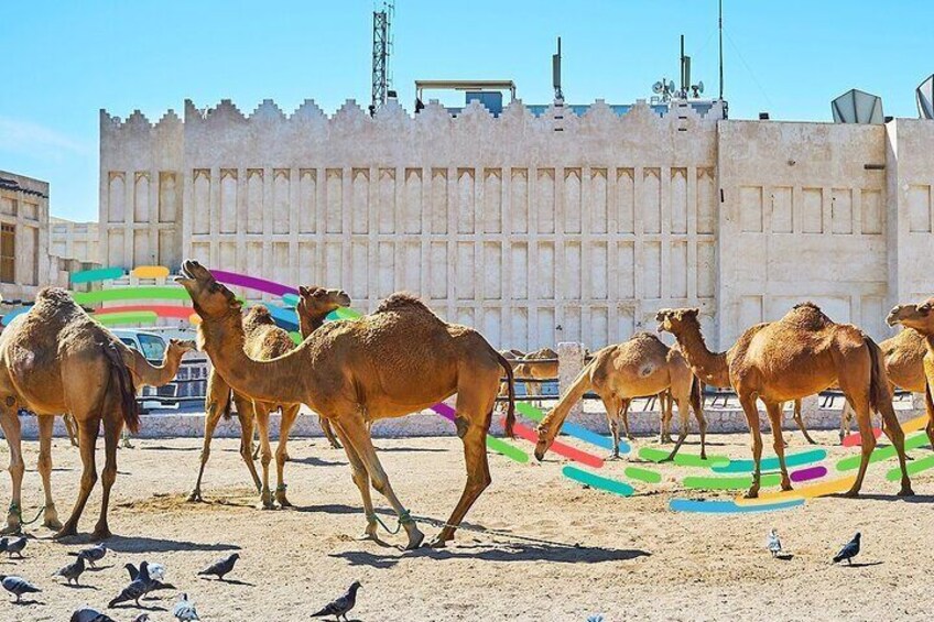 Souq Waqif Walking Tour