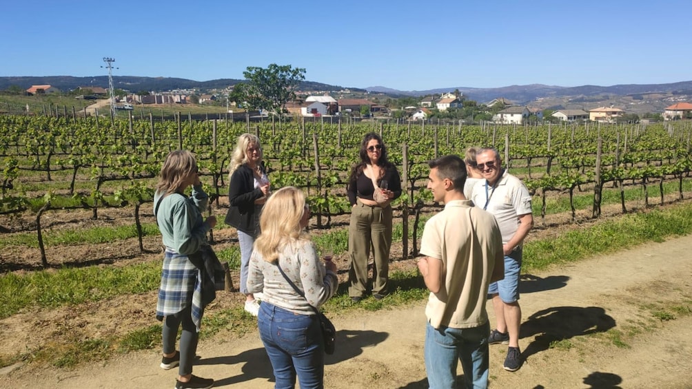 Private Premium Wine Tour in the Douro Valley