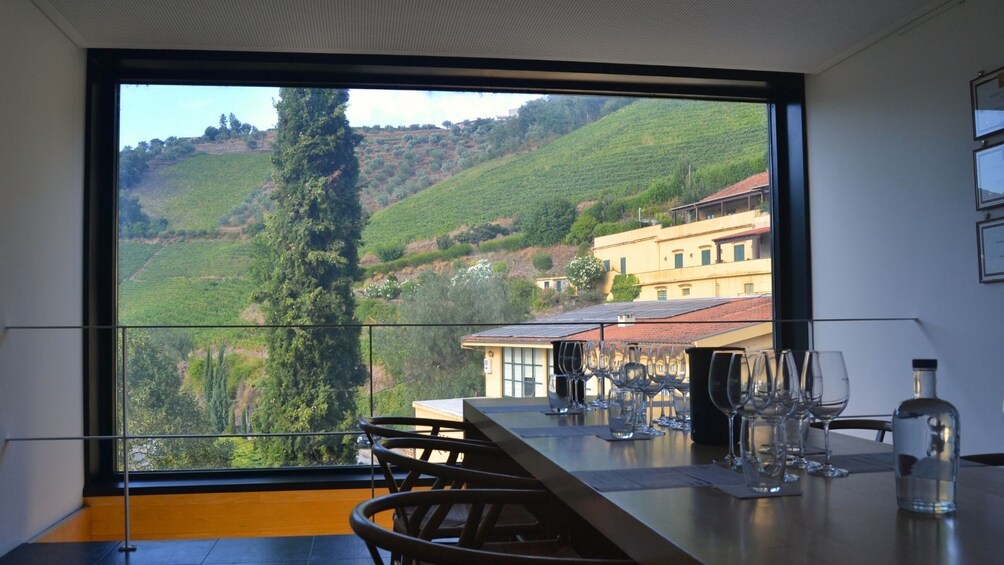 Private Premium Wine Tour in the Douro Valley