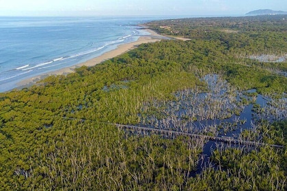 Private Wildlife Tour in Avellanas Beach