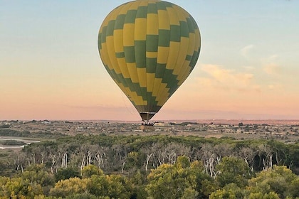 Albuquerque's Balloon Festival 空氣氣球
