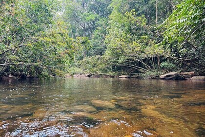 Dediyagala Village Tour