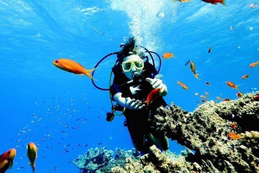 White Island and Ras Mohamed VIP Cruise Tour from Sharm el Sheikh