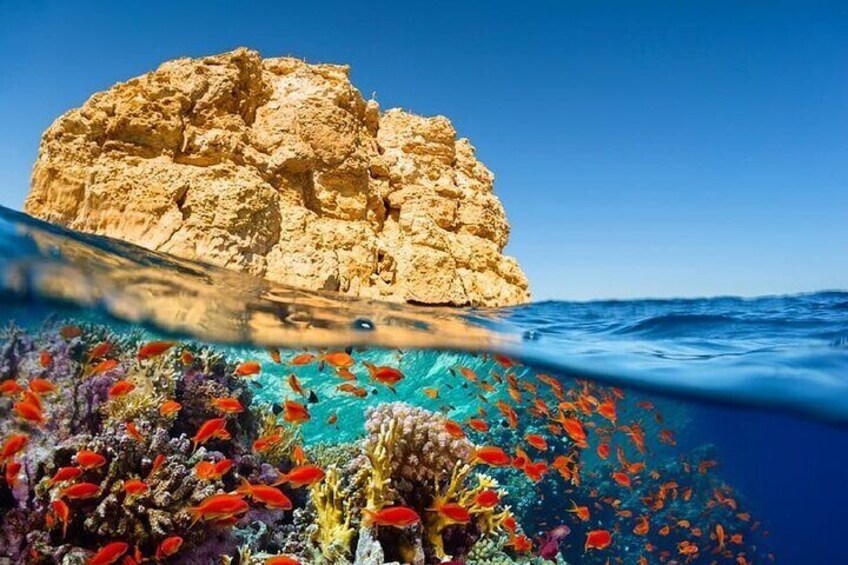 Ras Mohamed & White Island VIP Trip Sharm el Sheikh