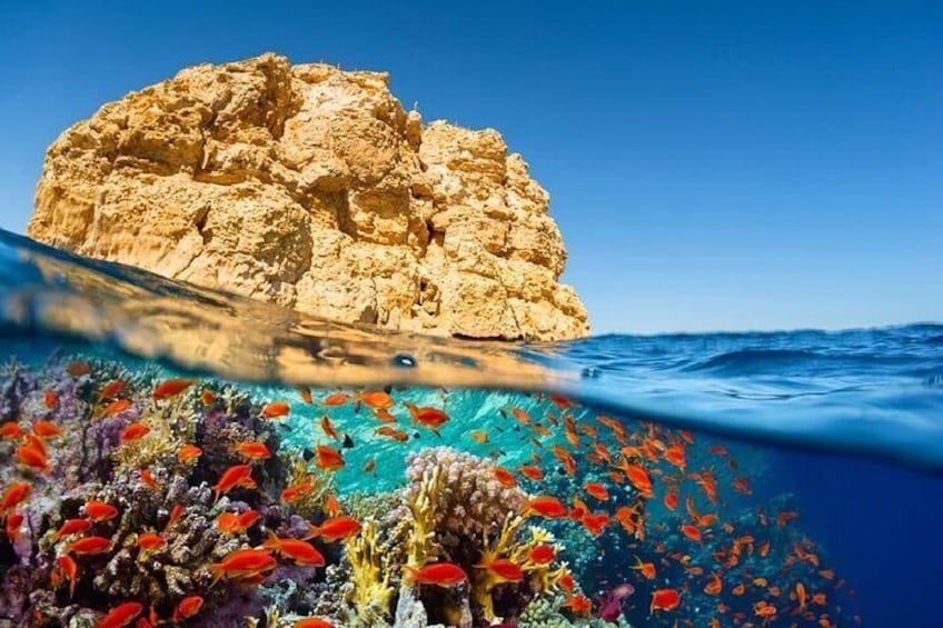 Ras Mohamed & White Island VIP Trip Sharm el Sheikh