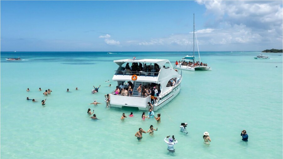 8 Hour Private Catamaran to Isla Saona & Palmilla with Open Bar