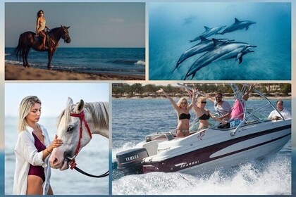 Private Speedboat Trip to Dolphin House & Riding Horse - Hurghada