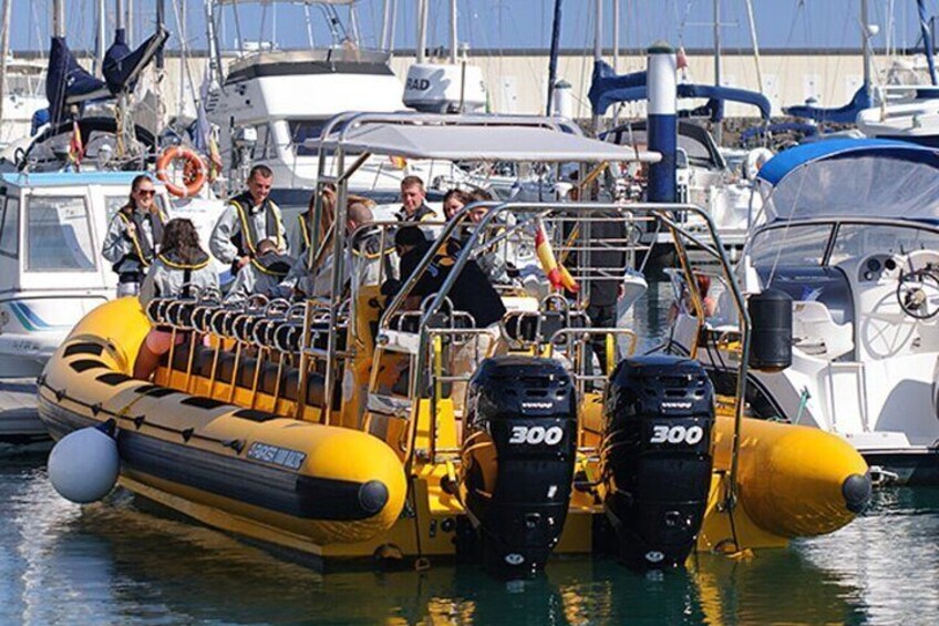 Dolphin Watching and Bathing in Papagayo Lanzarote Beach
