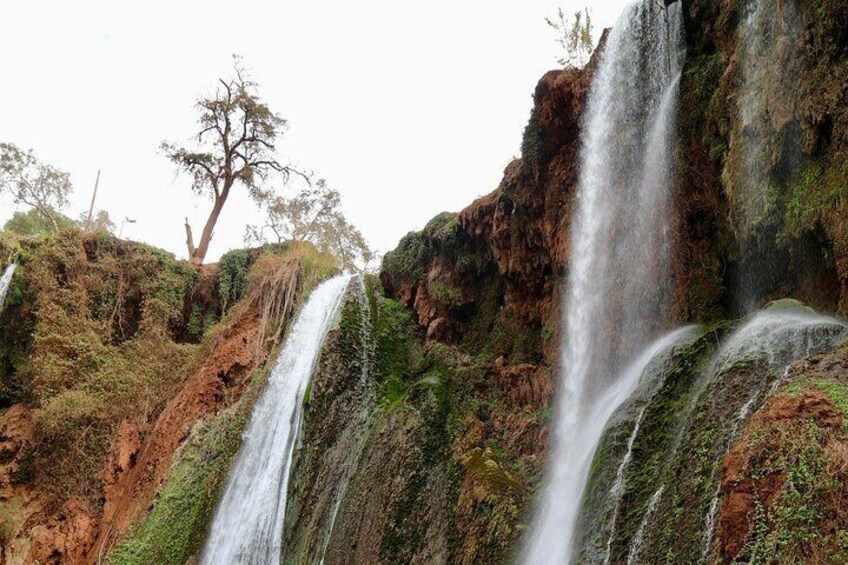 Small group Ouzoud Waterfall Guided Tour Boat Ride from Marrakech