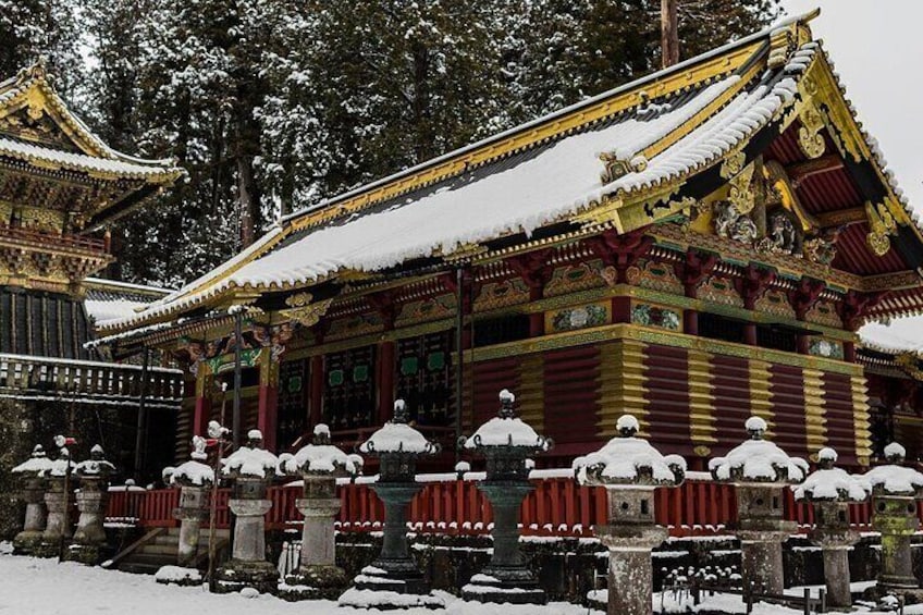 Private Nikko Tour with Transfer