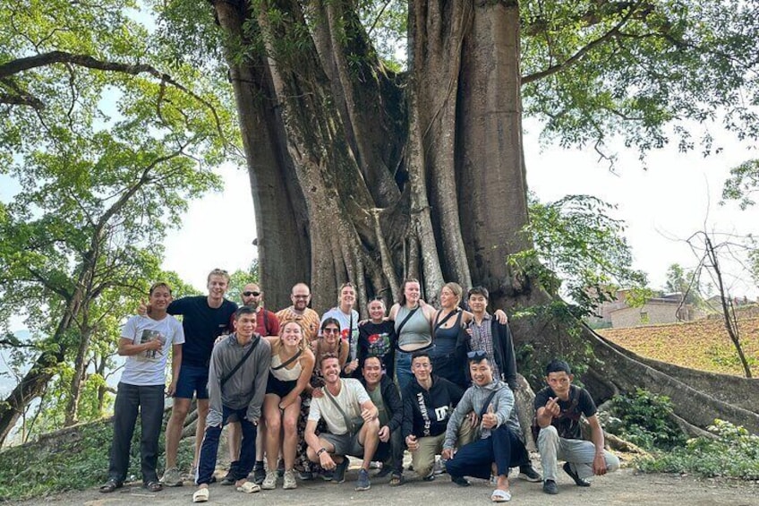 under oldest bayan tree