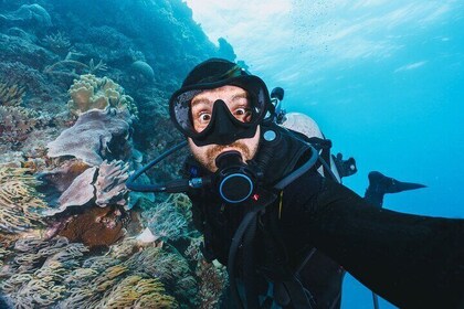 Scuba Diving Experience for Beginners & Lunch - Sharm El Sheikh