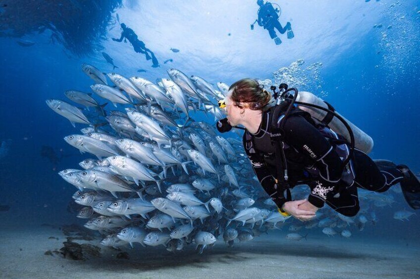 Scuba Diving Experience for Beginners & Lunch - Sharm El Sheikh