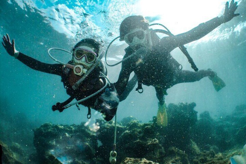 Scuba Diving Experience for Beginners & Lunch - Sharm El Sheikh