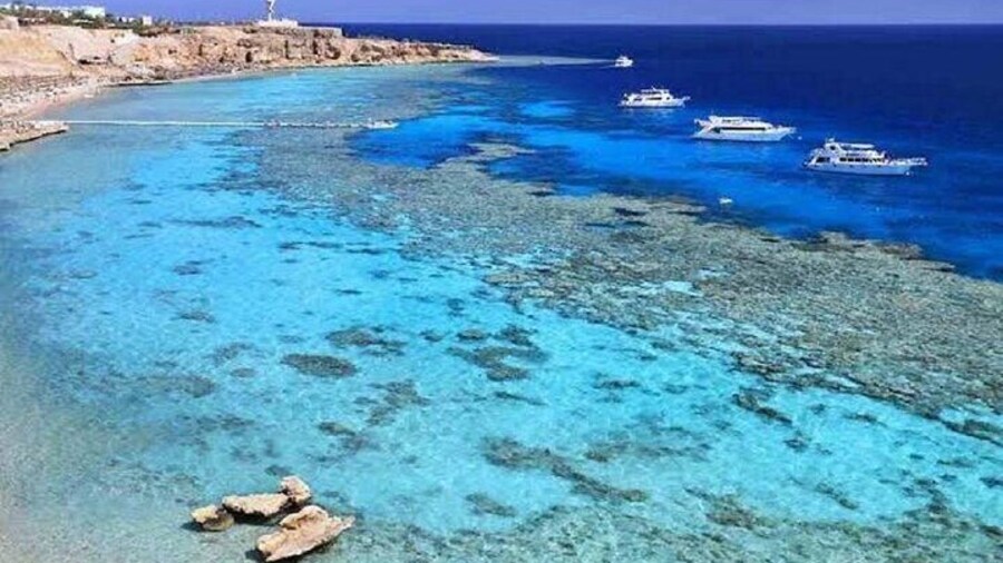 Tiran Island Snorkeling Sea Trip & intro dive - Sharm El Sheikh