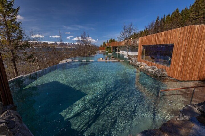  Forest Lagoon and Northern Lights Guided Night Tour 