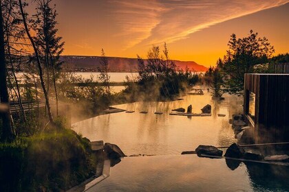 Forest Lagoon and Northern Lights Guided Night Tour