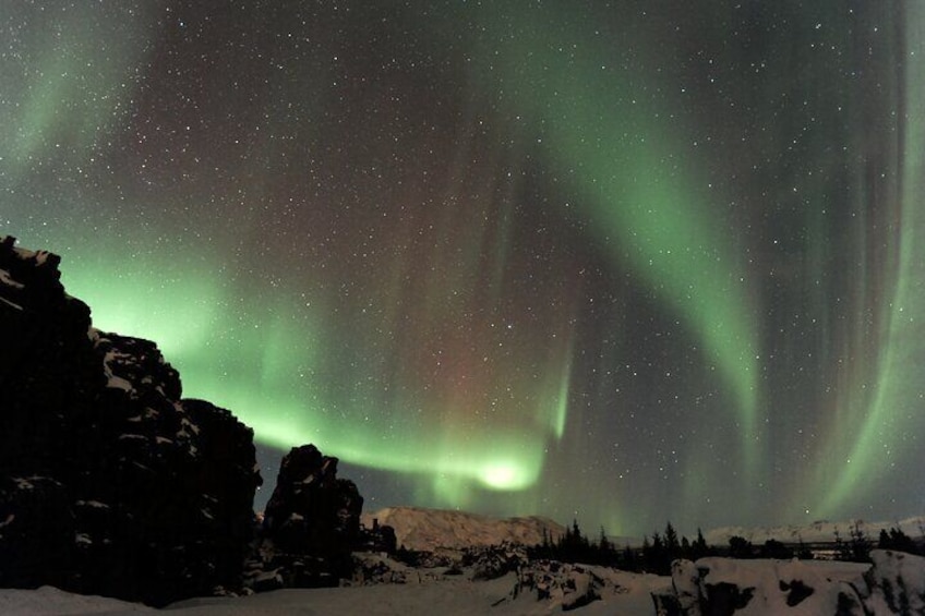  Forest Lagoon and Northern Lights Guided Night Tour 