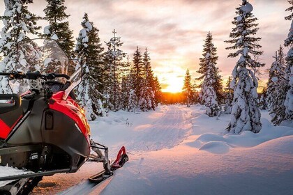 Snowmobile Tours in Rovaniemi Lapland