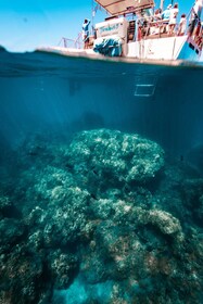 Maui: Kaanapali Beach 4-uur snorkelen met BBQ lunch & open bar