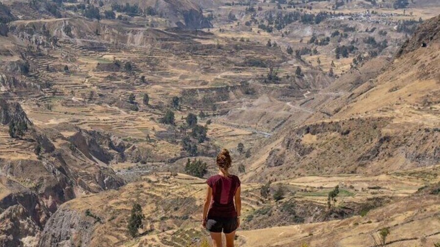 2 Days Night Colca Canyon from Arequipa with End in Puno