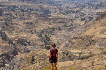 2 Days Colca Canyon Tour with Transfer to Puno